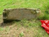 image of grave number 561918